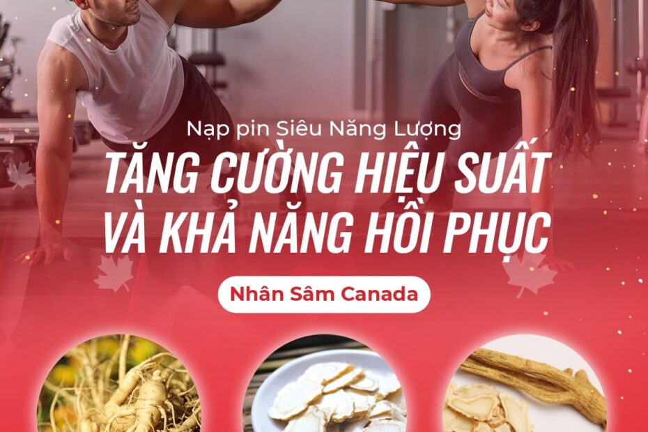 TĂNG CƯỜNG NĂNG LƯỢNG – BỨT PHÁ HIỆU SUẤT CÙNG NHÂN SÂM CANADA